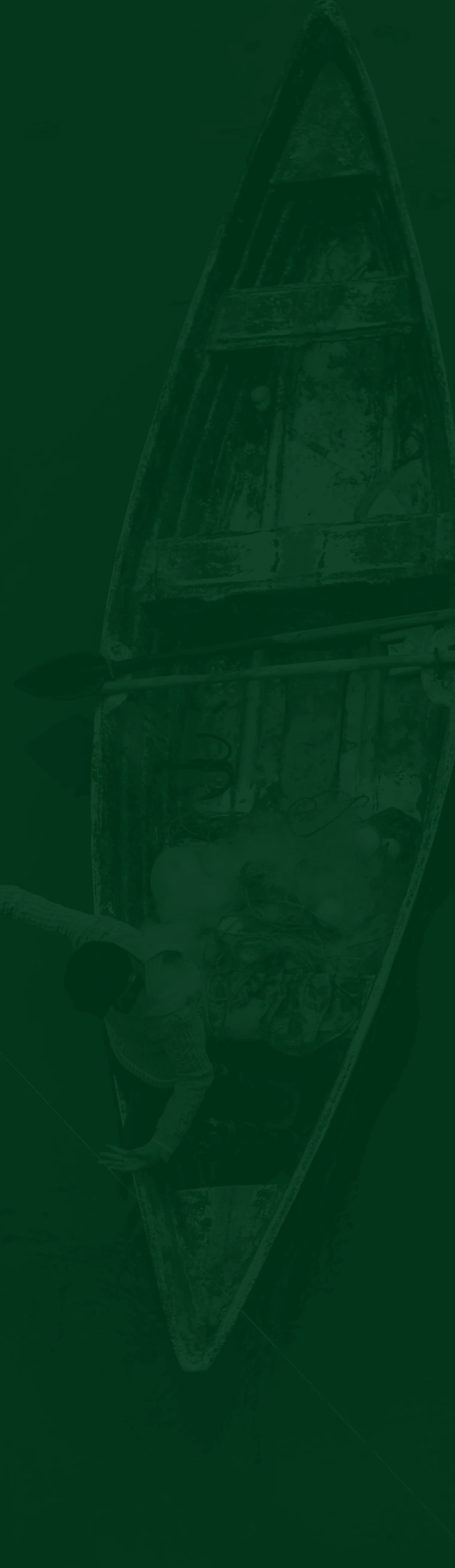 Water quality background